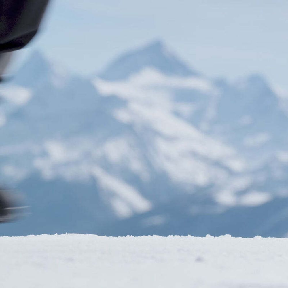 Сноуборд NIDECKER Sensor