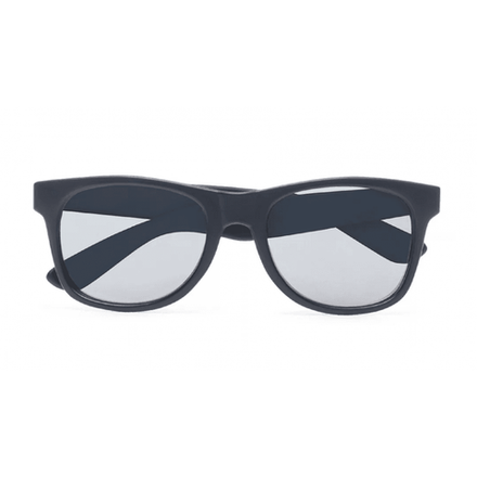 Купить Очки солнцезащитные Vans MN SPICOLI 4 SHADES Matte Black/Sil