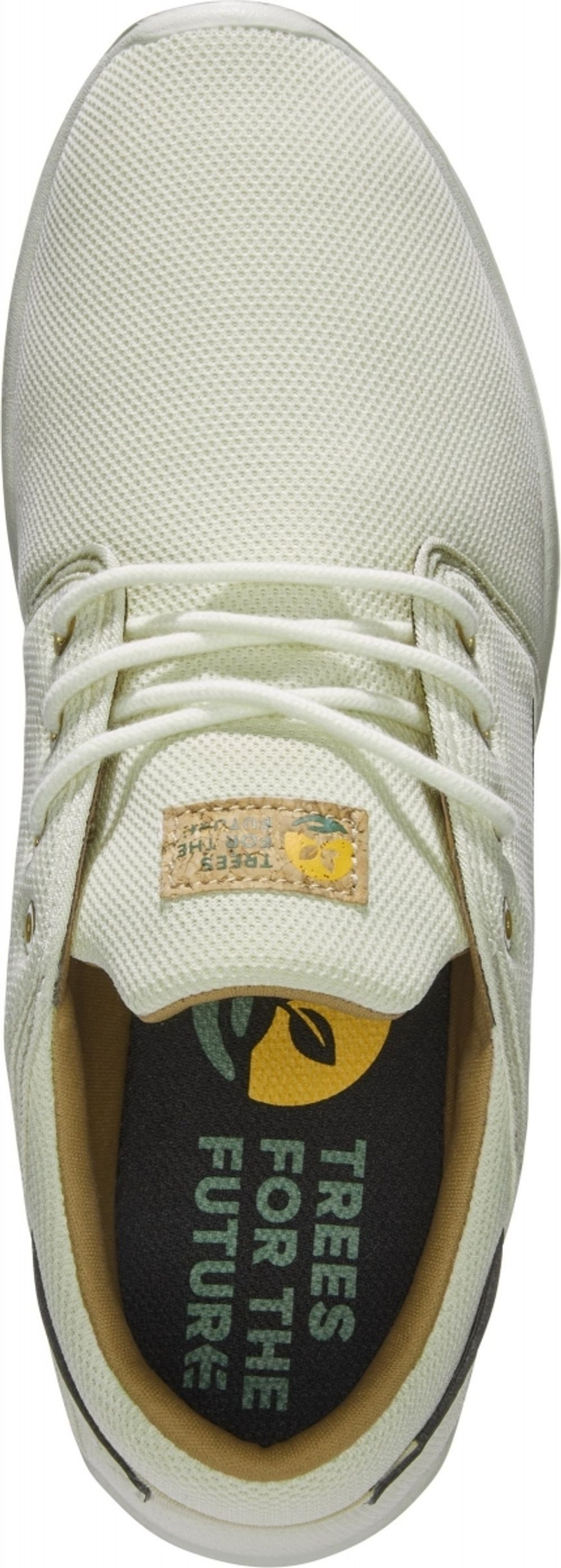 Кроссовки Etnies SCOUT X TFTF BONE