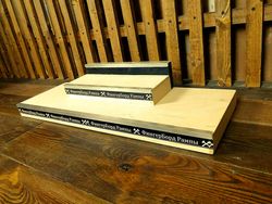 Фигура для фингерборда Turbo Стритплаза +