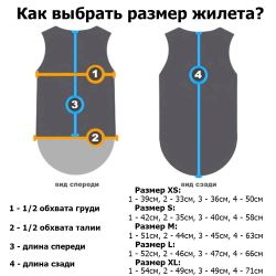 Защита позвоночника ProSurf PS07 BACK PROTECTOR VEST