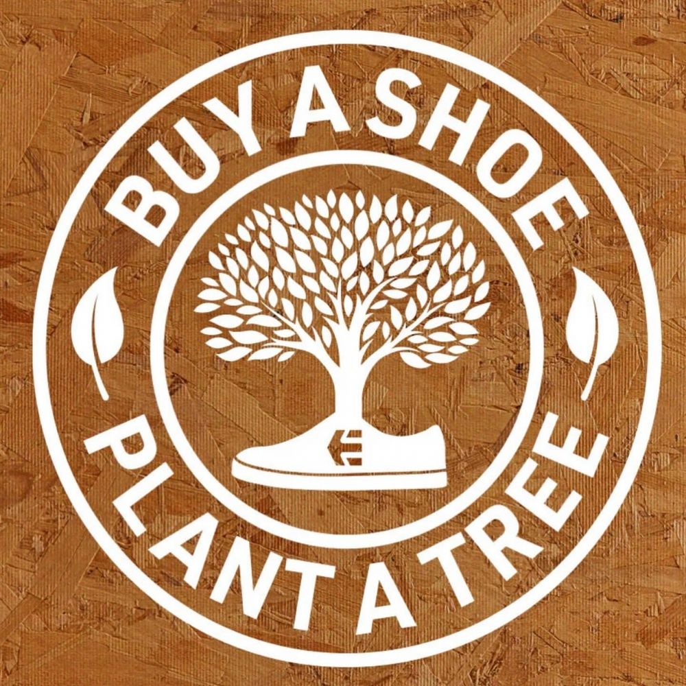 Кроссовки Etnies SCOUT X TFTF BONE