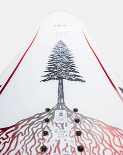 Сноуборд Jones Dream Weaver 2.0