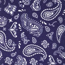 Шкурка Dip Grip Paisley Violet