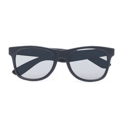 Очки солнцезащитные Vans MN SPICOLI 4 SHADES Matte Black/Sil