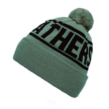 Купить Шапка Horsefeathers ROYCE BEANIE (iceberg green)