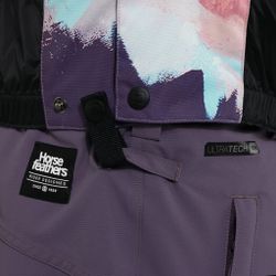 Штаны женские сноубордические Horsefeathers DIANE PANTS (grape)