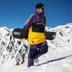 Штаны Horsefeathers CHARGER PANTS (violet)