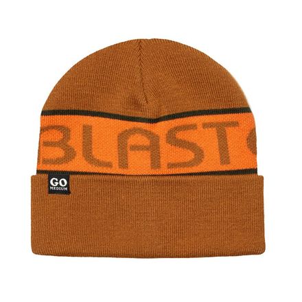 Купить Шапка AIRBLASTER GO MEDIUM BEANIE (HUNTER)
